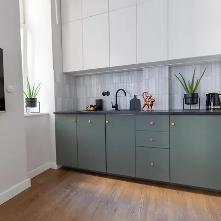 Lion - Premium With Balcony * 크라쿠프