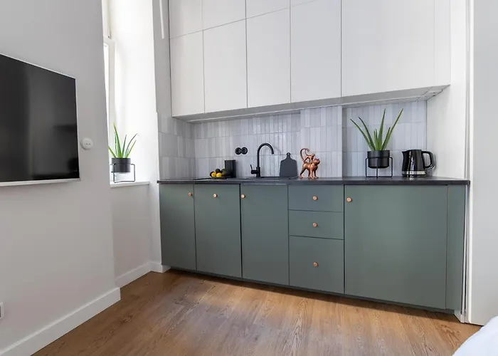 Lion - Premium With Balcony * 크라쿠프