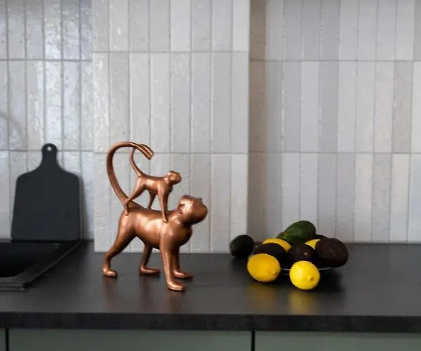 Lion - Premium With Balcony 아파트