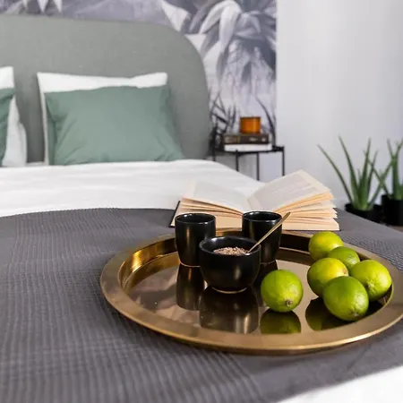 Lion - Premium With Balcony * Krasków