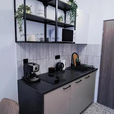 Lion - Premium With Balcony * Krakow