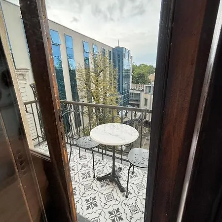 Lion - Premium With Balcony