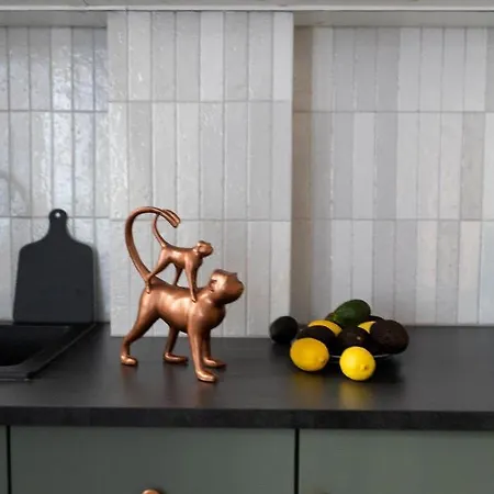 Lion - Premium With Balcony Appartement