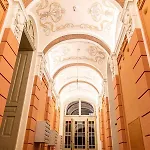 Lion - Premium * Krasków